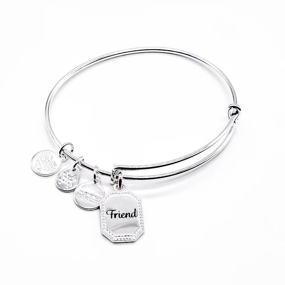 Alex and Ani Because I Love You Friend IV
